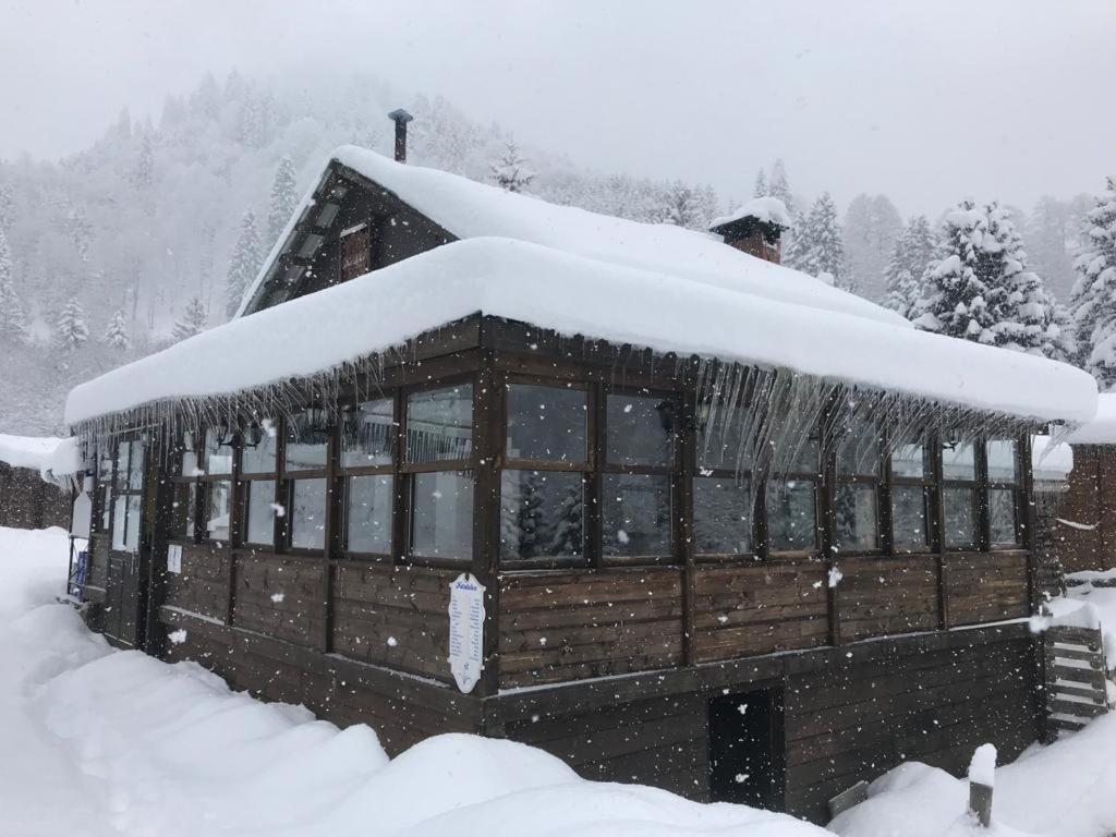 Kardelen Bungalov Evleri̇ Ayder Yaylasi Esterno foto