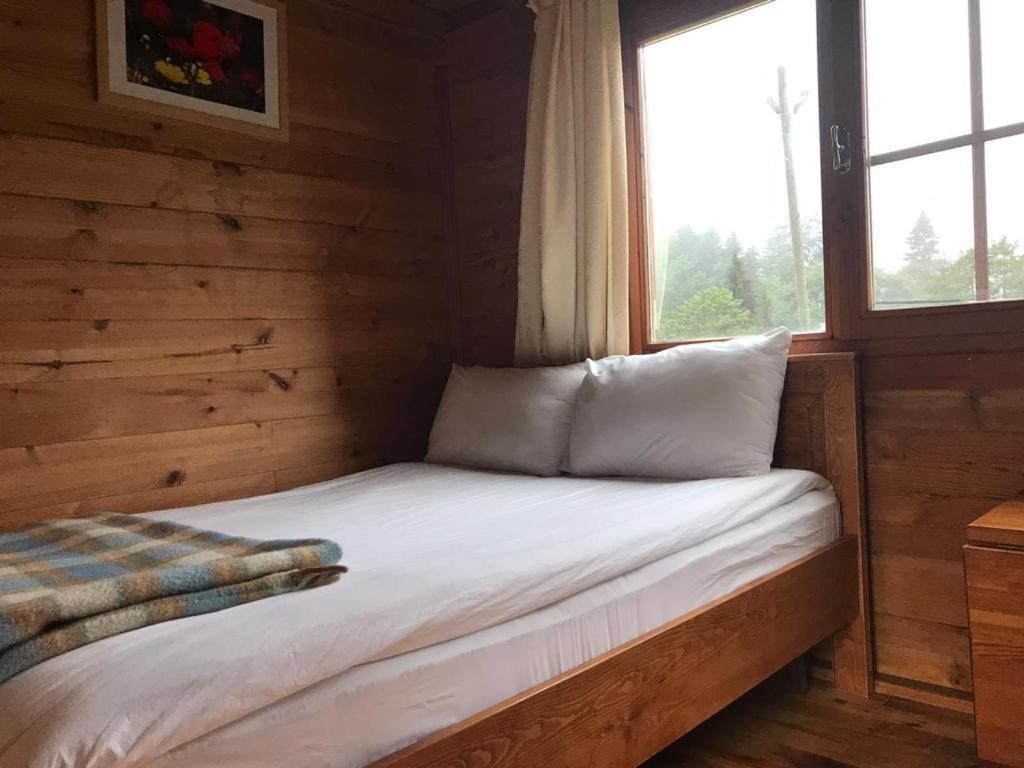 Kardelen Bungalov Evleri̇ Ayder Yaylasi Esterno foto