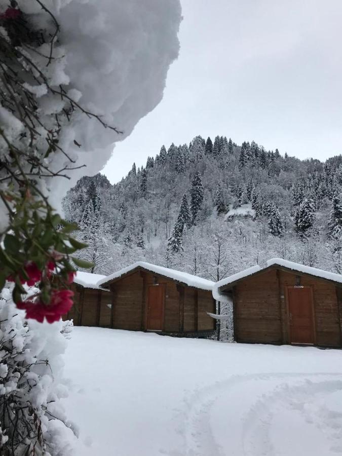 Kardelen Bungalov Evleri̇ Ayder Yaylasi Esterno foto