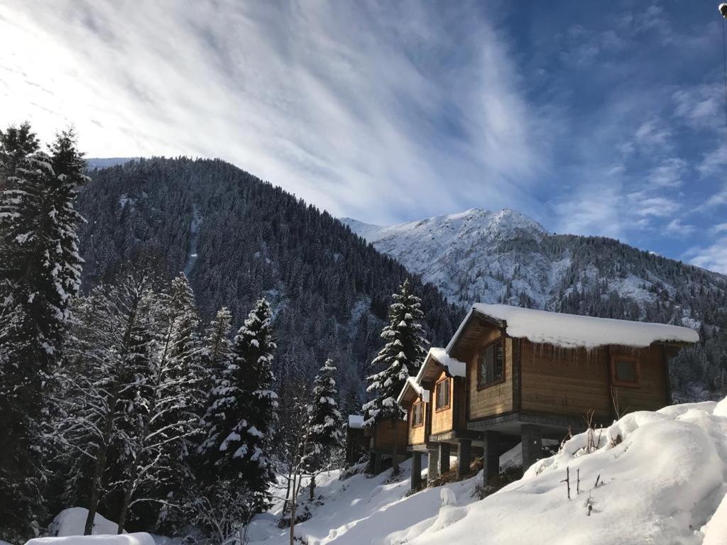 Kardelen Bungalov Evleri̇ Ayder Yaylasi Esterno foto