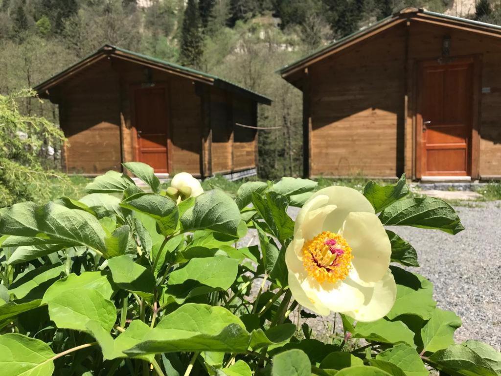 Kardelen Bungalov Evleri̇ Ayder Yaylasi Esterno foto