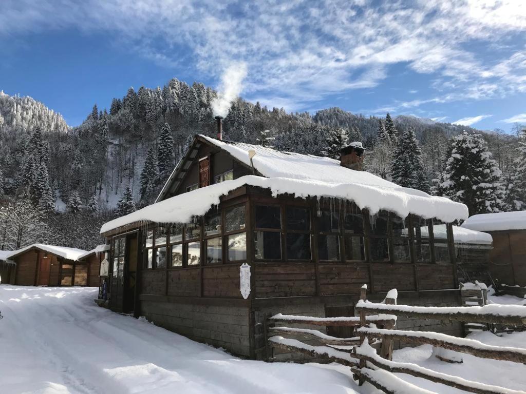 Kardelen Bungalov Evleri̇ Ayder Yaylasi Esterno foto