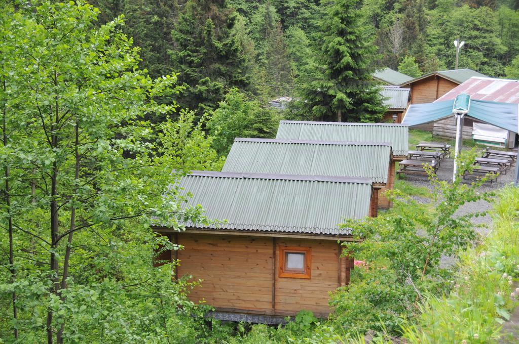 Kardelen Bungalov Evleri̇ Ayder Yaylasi Camera foto